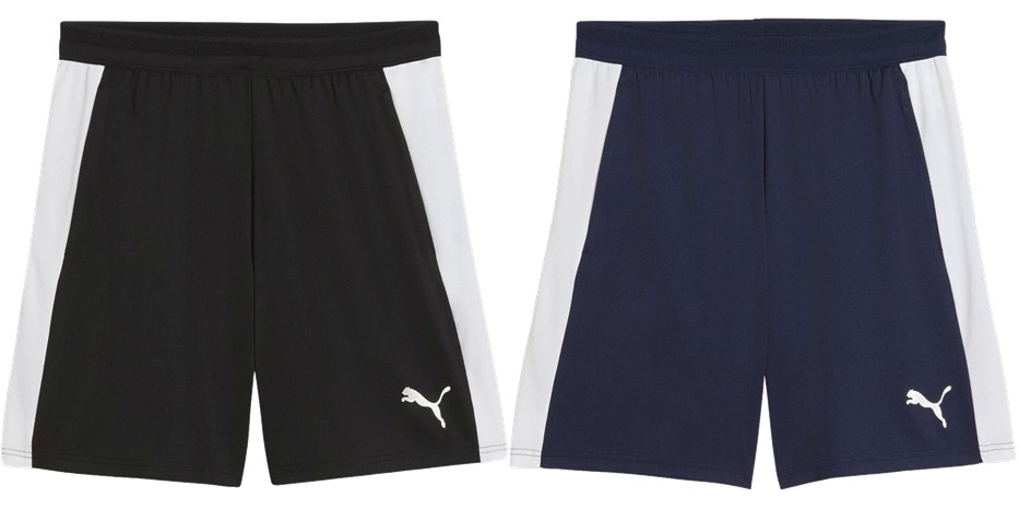 プーマ PUMA サッカーウェア メンズ   TEAMFINAL TR ショーツ 660953 2026