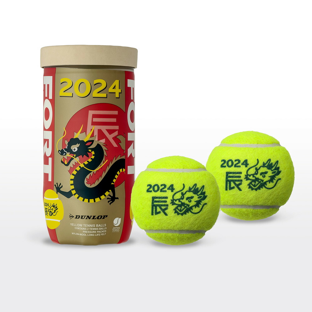 ダンロップ [DUNLOP] FORT フォート 1箱（1缶2球入 30缶 60球） [ITF ...