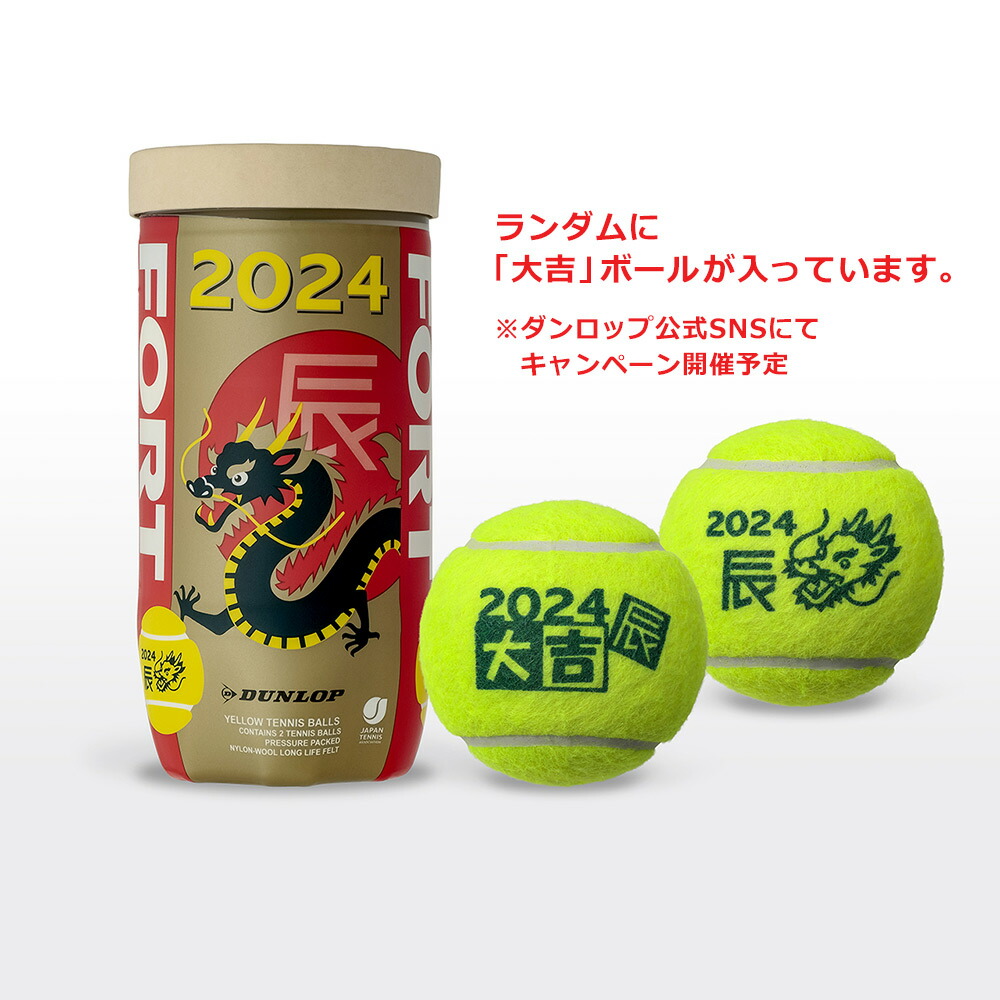 DUNLOP FORTテニスボール4球入り×9缶 - ボール