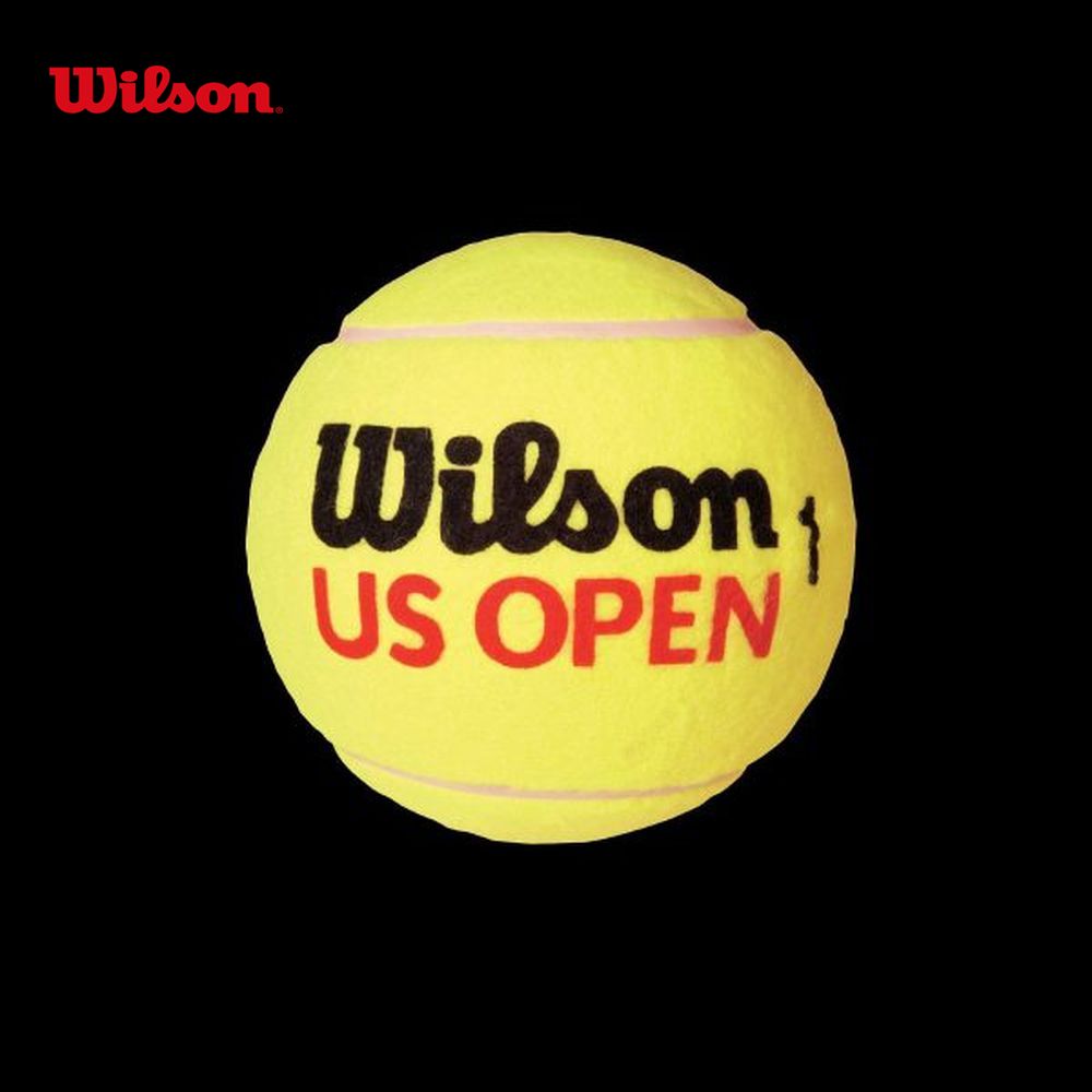 ウイルソン Wilson テニスアクセサリー  US OPEN 5 ミニジャンボTボール WRT1415U